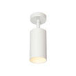 Load image into Gallery viewer, Farmhouze Light - Minimalist Adjustable Single Cylinder Ceiling Spotlight - Ceiling Light - Brass - 2 Packs -