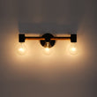 Load image into Gallery viewer, Farmhouze Light - 3 - light Industrial Rustic Vanity Light Wall Sconce - Wall Sconce - 3 - Light -