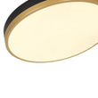 Load image into Gallery viewer, Farmhouze Light - 5CCT Modern Dimmable LED Round Flush Mount Ceiling Light - Ceiling Light - Black -