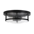 Load image into Gallery viewer, Farmhouze Light - Farmhouse Clear Crackle Glass Round Flush Mount Ceiling Light - Ceiling Light - Black -