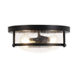 Load image into Gallery viewer, Farmhouze Light - Farmhouse Clear Crackle Glass Round Flush Mount Ceiling Light - Ceiling Light - Black -