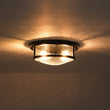 Load image into Gallery viewer, Farmhouze Light - Farmhouse Clear Crackle Glass Round Flush Mount Ceiling Light - Ceiling Light - Black -