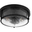 Load image into Gallery viewer, Farmhouze Light - Farmhouse Clear Crackle Glass Round Flush Mount Ceiling Light - Ceiling Light - Black -