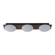 Load image into Gallery viewer, Farmhouze Light - Farmhouse Dimmable LED Linear Flush Mount Ceiling Light - Chandelier - 3 - Light -