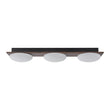 Load image into Gallery viewer, Farmhouze Light - Farmhouse Dimmable LED Linear Flush Mount Ceiling Light - Chandelier - 3 - Light -