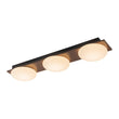 Load image into Gallery viewer, Farmhouze Light - Farmhouse Dimmable LED Linear Flush Mount Ceiling Light - Chandelier - 3 - Light -