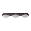 Load image into Gallery viewer, Farmhouze Light - Farmhouse Dimmable LED Linear Flush Mount Ceiling Light - Chandelier - 3 - Light -