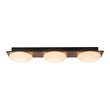 Load image into Gallery viewer, Farmhouze Light - Farmhouse Dimmable LED Linear Flush Mount Ceiling Light - Chandelier - 3 - Light -