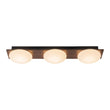 Load image into Gallery viewer, Farmhouze Light - Farmhouse Dimmable LED Linear Flush Mount Ceiling Light - Chandelier - 3 - Light -