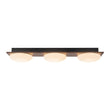 Load image into Gallery viewer, Farmhouze Light - Farmhouse Dimmable LED Linear Flush Mount Ceiling Light - Chandelier - 3 - Light -