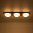Load image into Gallery viewer, Farmhouze Light - Farmhouse Dimmable LED Linear Flush Mount Ceiling Light - Chandelier - 3 - Light -