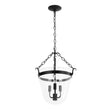 Load image into Gallery viewer, Farmhouze Light - French Farmhouse Candle Style Glass Bell Cage Ceiling Light - Ceiling Light - Black -