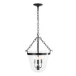 Load image into Gallery viewer, Farmhouze Light - French Farmhouse Candle Style Glass Bell Cage Ceiling Light - Ceiling Light - Black -