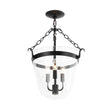 Load image into Gallery viewer, Farmhouze Light - French Farmhouse Candle Style Glass Bell Cage Ceiling Light - Ceiling Light - Black -