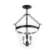 Load image into Gallery viewer, Farmhouze Light - French Farmhouse Candle Style Glass Bell Cage Ceiling Light - Ceiling Light - Black -
