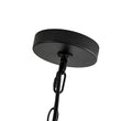 Load image into Gallery viewer, Farmhouze Light - Industrial 4 - Light Matte Black Cage Pendant Light - Pendant - Black -