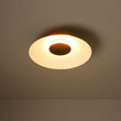 Load image into Gallery viewer, Farmhouze Light - Modern Dimmable LED Saucer Wide Dome Flush Mount Light - Ceiling Light - Black -
