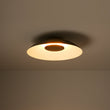 Load image into Gallery viewer, Farmhouze Light - Modern Dimmable LED Saucer Wide Dome Flush Mount Light - Ceiling Light - Black -