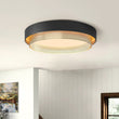 Load image into Gallery viewer, Farmhouze Light-Modern LED 2-Tier Round Flush Mount Ceiling Light-Ceiling Light-3000K - Warm-