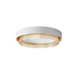 Load image into Gallery viewer, Farmhouze Light - Modern LED 2 - Tier Round Flush Mount Ceiling Light - Ceiling Light - White/3000K - Warm -