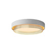Load image into Gallery viewer, Farmhouze Light - Modern LED 2 - Tier Round Flush Mount Ceiling Light - Ceiling Light - White/3000K - Warm -
