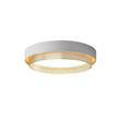 Load image into Gallery viewer, Farmhouze Light - Modern LED 2 - Tier Round Flush Mount Ceiling Light - Ceiling Light - White/6000K - Cool -