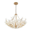Load image into Gallery viewer, Farmhouze Light - OpenBox - Glam Farmhouse Crystal Flower Brass Basin Chandelier - Chandelier - 6 - Light -