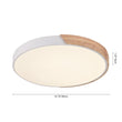 Load image into Gallery viewer, Farmhouze Lighting-Minimalist Dimmable Round Ceiling Light-Ceiling Light-11"-White