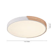 Load image into Gallery viewer, Farmhouze Lighting-Minimalist Dimmable Round Ceiling Light-Ceiling Light-11"-White