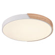 Load image into Gallery viewer, Farmhouze Lighting-Minimalist Dimmable Round Ceiling Light-Ceiling Light-11"-White