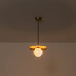 Load image into Gallery viewer, Brass Radiant Frosted Glass Globe Single Pendant Light
