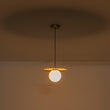 Load image into Gallery viewer, Brass Radiant Frosted Glass Globe Single Pendant Light
