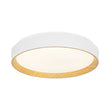 Load image into Gallery viewer, Minimalist Dimmable LED Round Flush Mount Ceiling Light
