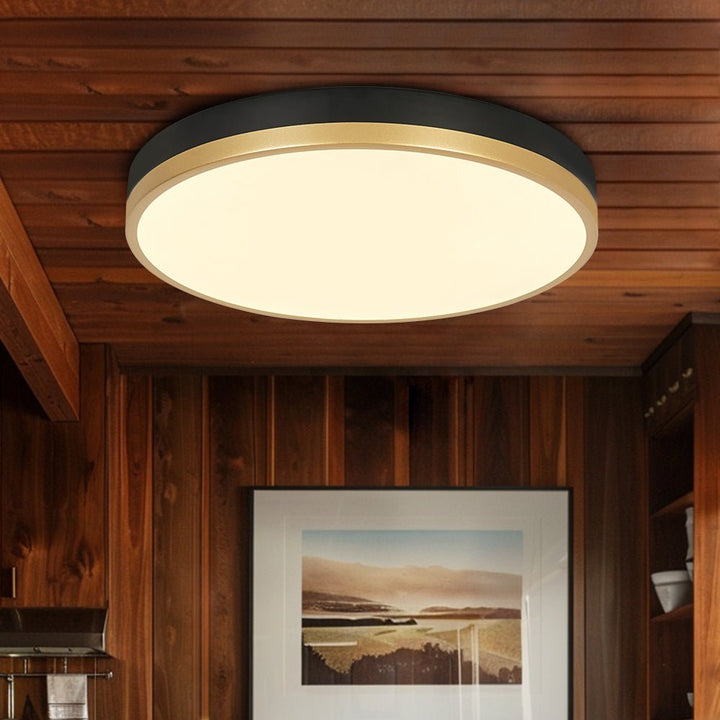 Farmhouze Light - 5CCT Modern Dimmable LED Round Flush Mount Ceiling Light - Ceiling Light - Black - 