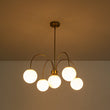Load image into Gallery viewer, Farmhouze Light - Brass 5 - Light Arched Arm Milky Glass Globe Round Chandelier - Chandelier - 30 in - 

