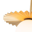 Load image into Gallery viewer, Farmhouze Light - Brass Radiant Frosted Glass Globe Single Pendant Light - Pendant - Brass - 
