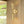 Load image into Gallery viewer, Farmhouze Light - Contemporary Bathroom Up and Down Brass Cone Wall Light - Wall Sconce - 1 Pack - 
