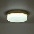 Load image into Gallery viewer, Farmhouze Light-Dimmable LED Round Gold Milky White Glass Flush Mount Light-Ceiling Light-Brass-
