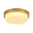 Load image into Gallery viewer, Farmhouze Light-Dimmable LED Round Gold Milky White Glass Flush Mount Light-Ceiling Light-Brass-
