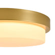 Load image into Gallery viewer, Farmhouze Light-Dimmable LED Round Gold Milky White Glass Flush Mount Light-Ceiling Light-Brass-
