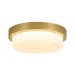 Load image into Gallery viewer, Farmhouze Light-Dimmable LED Round Gold Milky White Glass Flush Mount Light-Ceiling Light-Brass-
