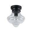 Load image into Gallery viewer, Farmhouze Light-Farmhouse 1-Light Black Layered Clear Glass Semi Flush Mount-Ceiling Light-Brass-
