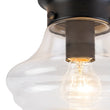 Load image into Gallery viewer, Farmhouze Light-Farmhouse 1-Light Black Layered Clear Glass Semi Flush Mount-Ceiling Light-Brass-
