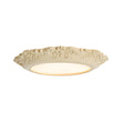Load image into Gallery viewer, Farmhouze Light-Farmhouse Beige Carved Resin LED Flush Mount Ceiling Light-Ceiling Light-Ivory-
