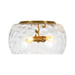 Load image into Gallery viewer, Farmhouze Light-Farmhouse Round Wide Clear Water Glass Ceiling Light-Ceiling Light-Brass-
