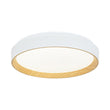Load image into Gallery viewer, Farmhouze Light - Minimalist Dimmable LED Round Flush Mount Ceiling Light - Ceiling Light - 19.7 in - 
