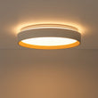 Load image into Gallery viewer, Farmhouze Light - Minimalist Dimmable LED Round Flush Mount Ceiling Light - Ceiling Light - 19.7 in - 
