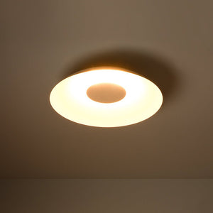 Farmhouze Light - Modern Dimmable LED Saucer Wide Dome Flush Mount Light - Ceiling Light - White - 