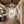 Load image into Gallery viewer, Farmhouze Light - Modern Farmhouse 1 - Light Simple Glass Dome Ceiling Light - Ceiling Light - Black - 
