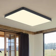 Load image into Gallery viewer, Farmhouze Light - Modern Large Rectangular Dimmable LED Ceiling Light - Ceiling Light - Black - 
